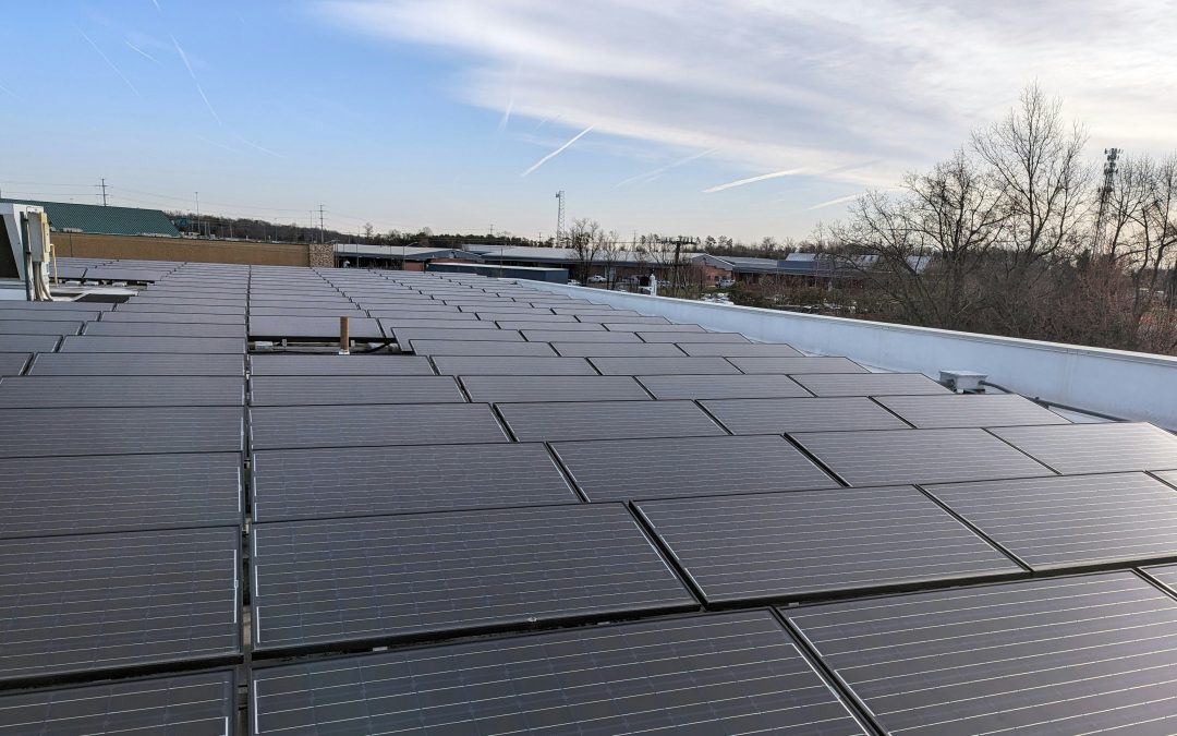 30kWp Solar System Helps Retailer Lower Energy Bills